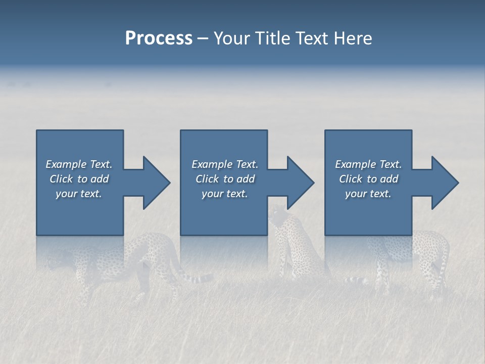 Dots Wildlife Big PowerPoint Template