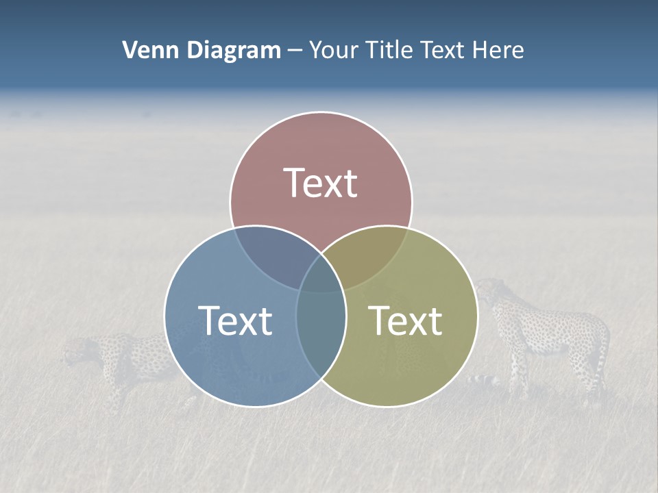 Dots Wildlife Big PowerPoint Template