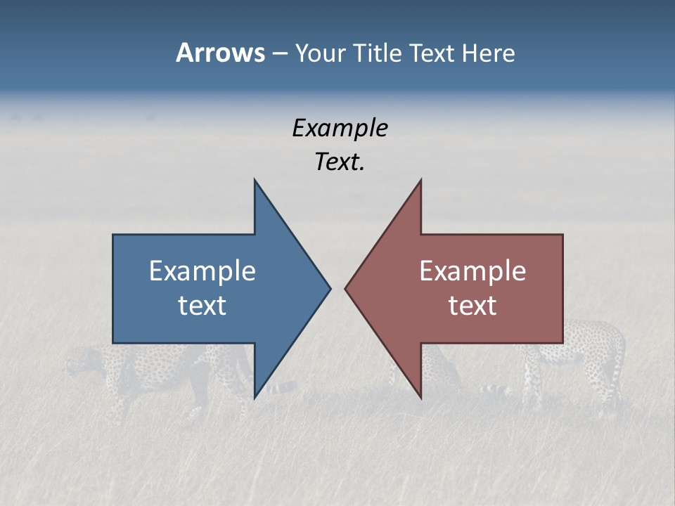 Dots Wildlife Big PowerPoint Template