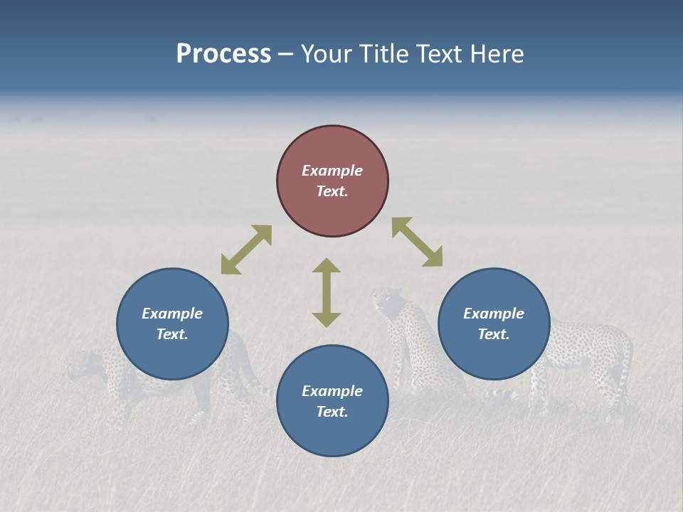 Dots Wildlife Big PowerPoint Template