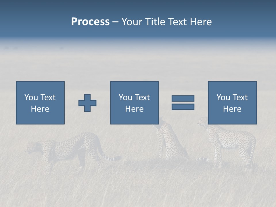 Dots Wildlife Big PowerPoint Template