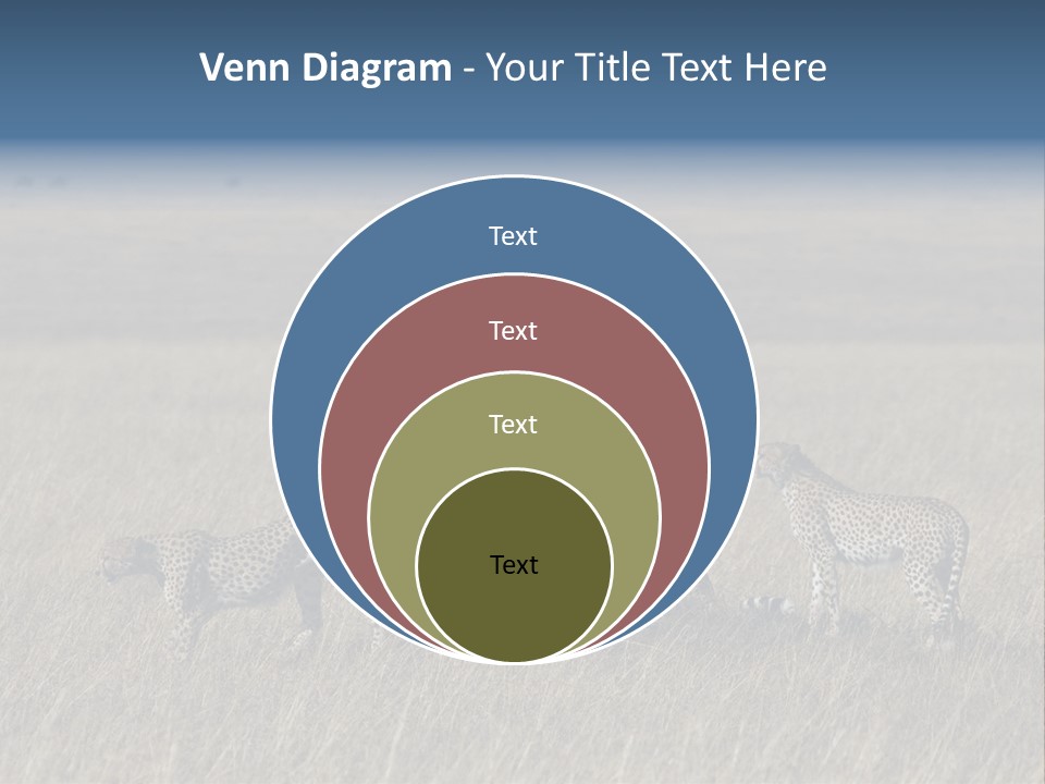 Dots Wildlife Big PowerPoint Template