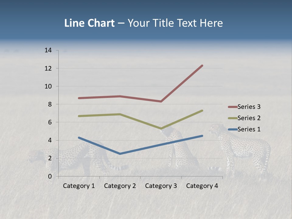 Dots Wildlife Big PowerPoint Template