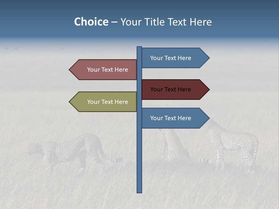 Dots Wildlife Big PowerPoint Template