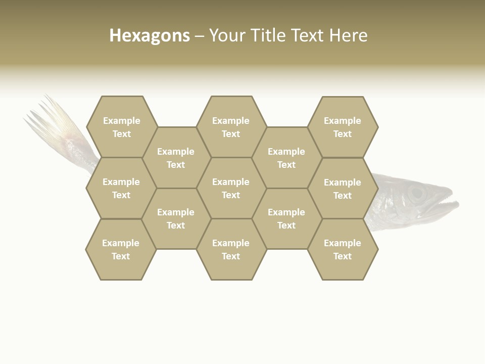 Nutritive White Hake PowerPoint Template