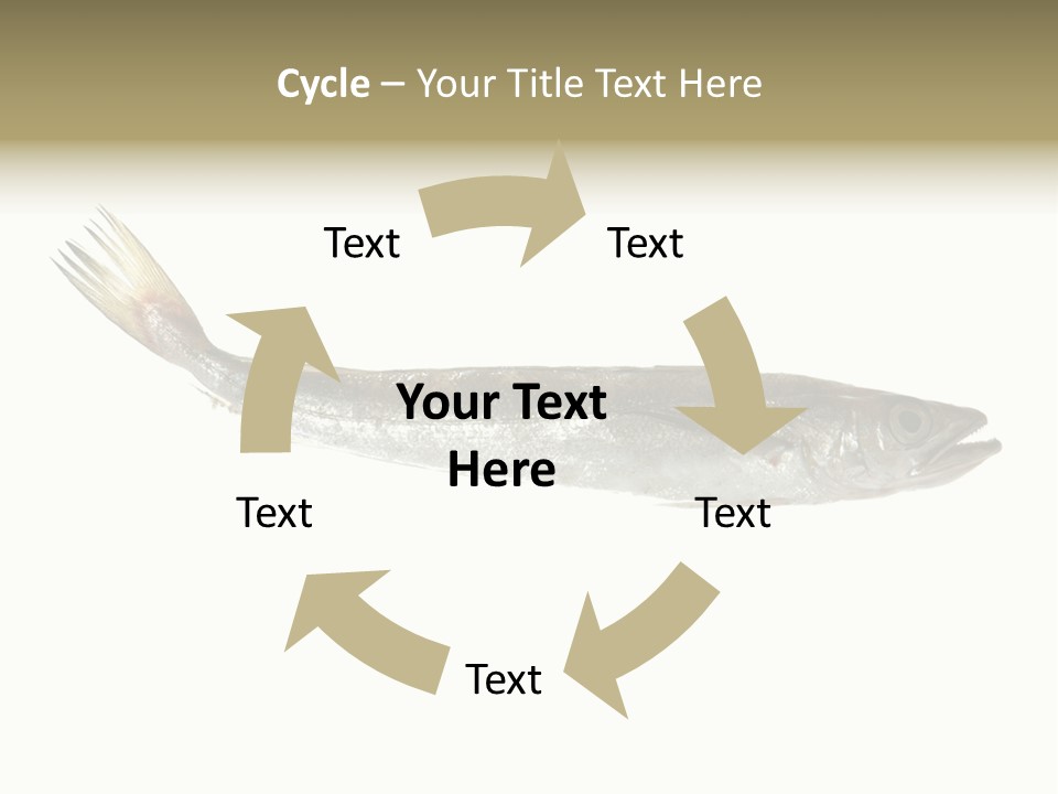 Nutritive White Hake PowerPoint Template