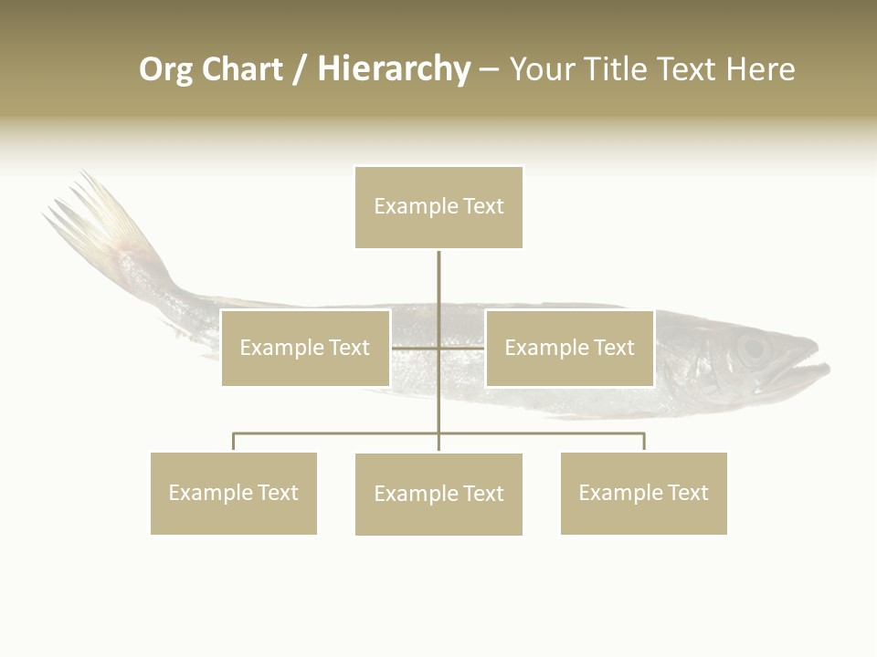 Nutritive White Hake PowerPoint Template