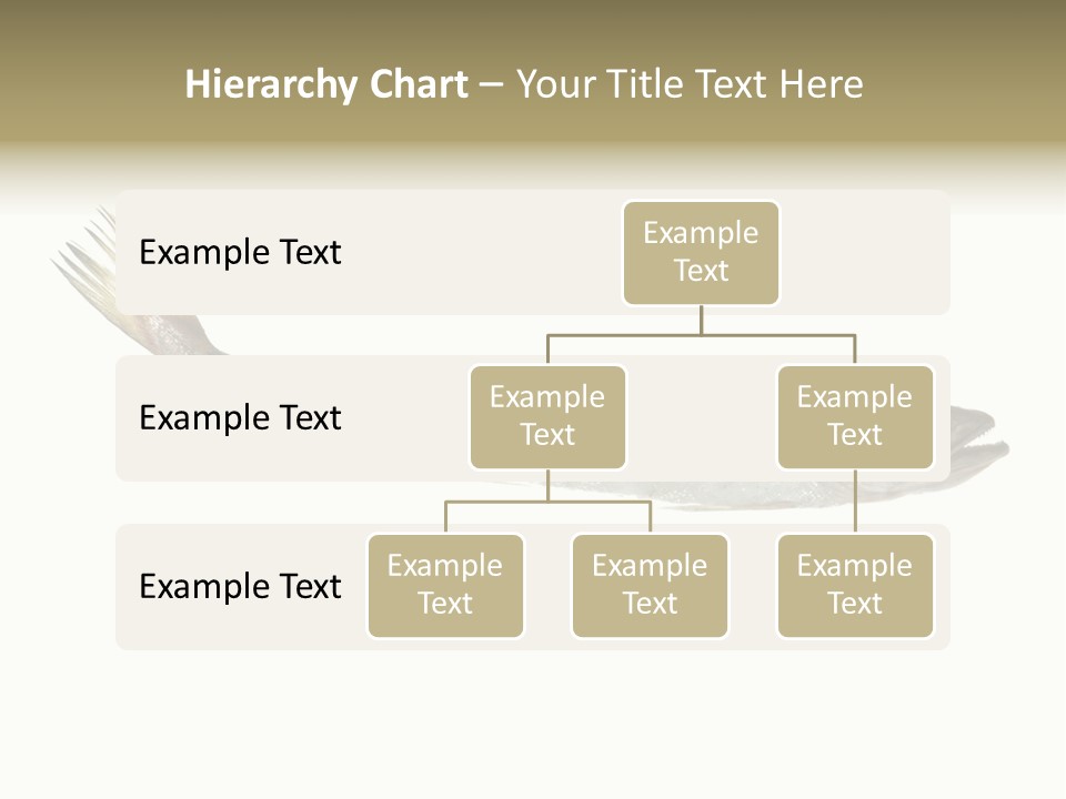 Nutritive White Hake PowerPoint Template