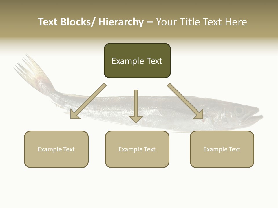 Nutritive White Hake PowerPoint Template