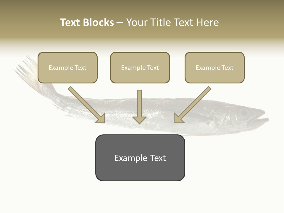 Nutritive White Hake PowerPoint Template