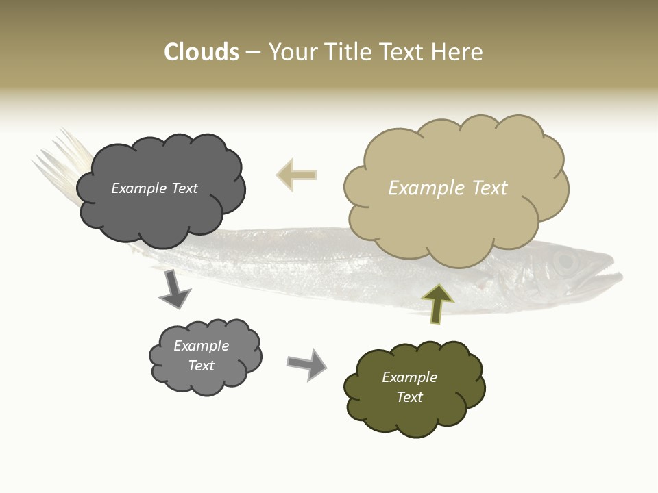 Nutritive White Hake PowerPoint Template