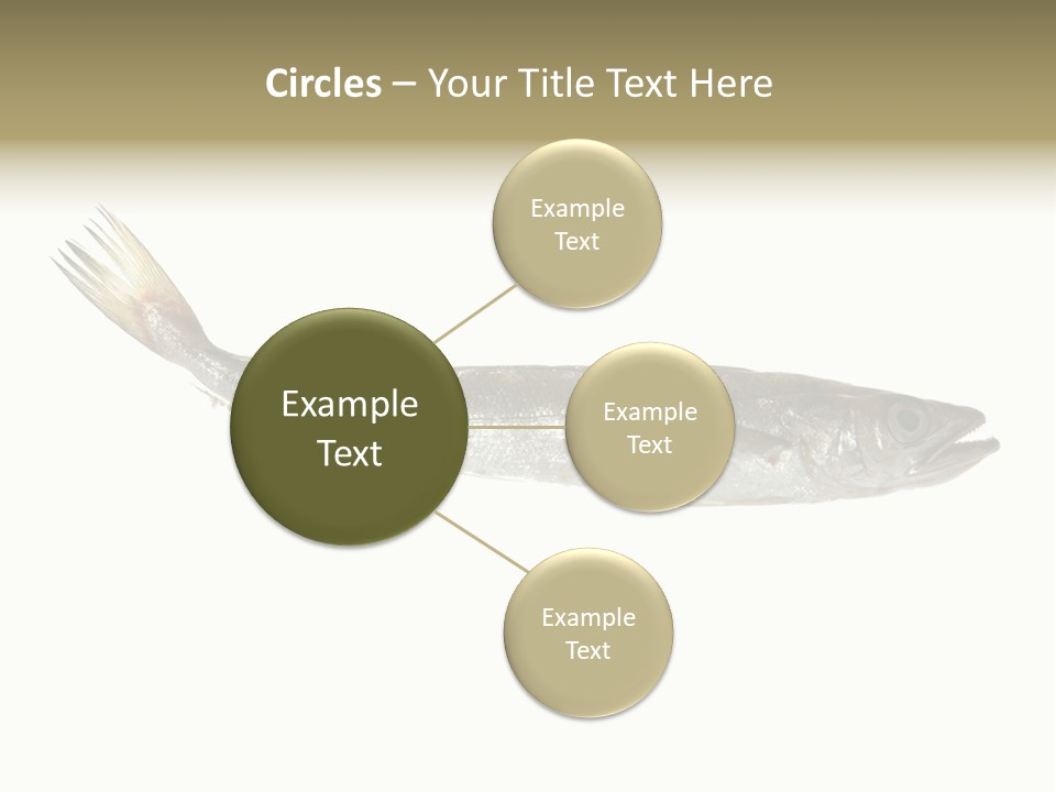 Nutritive White Hake PowerPoint Template