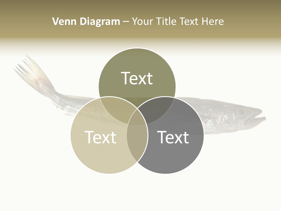 Nutritive White Hake PowerPoint Template