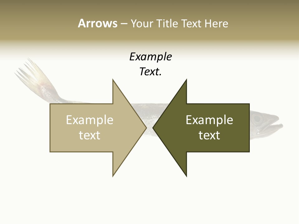 Nutritive White Hake PowerPoint Template