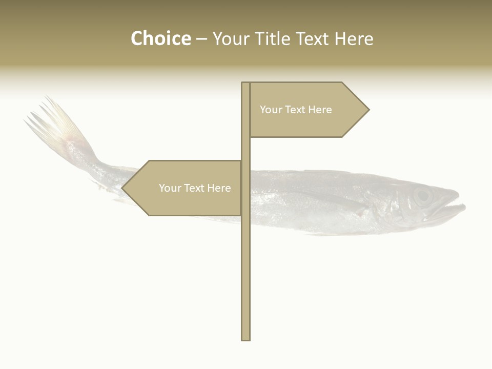 Nutritive White Hake PowerPoint Template