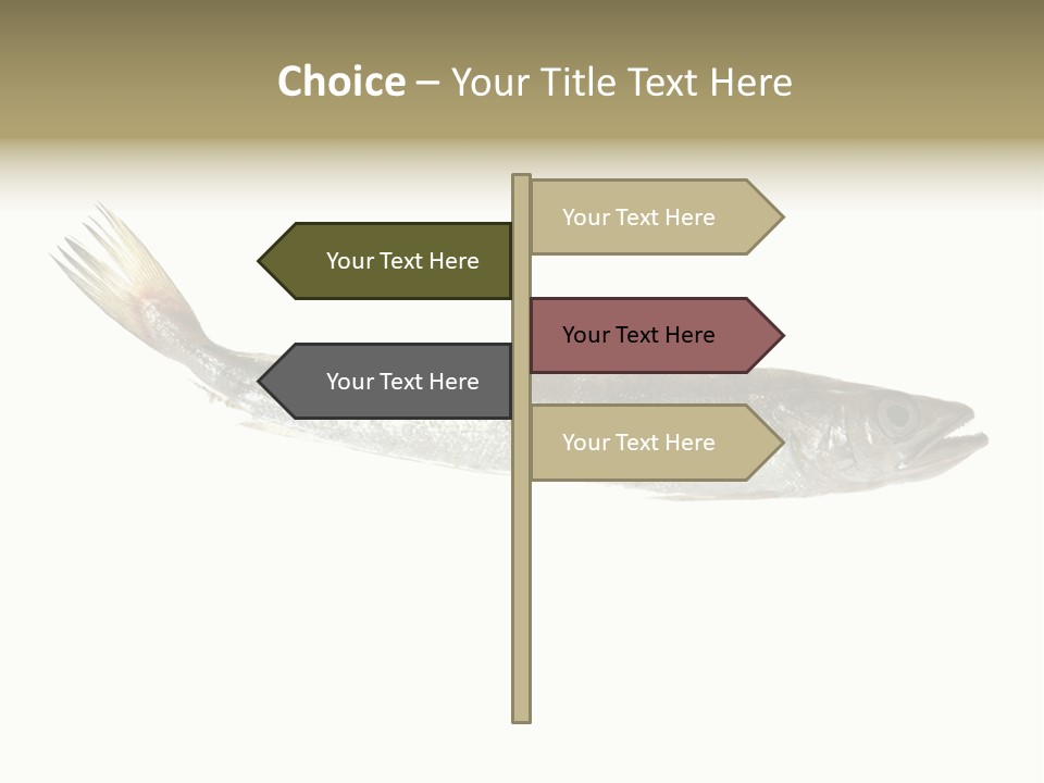 Nutritive White Hake PowerPoint Template