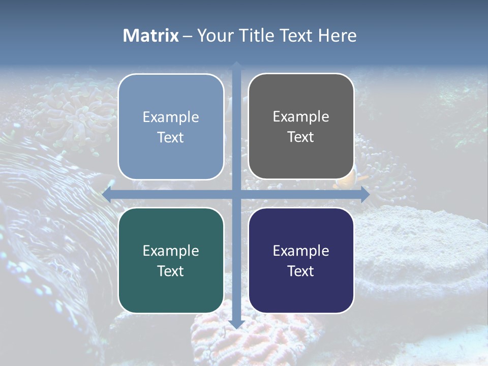 Rock Aquatic Coral PowerPoint Template