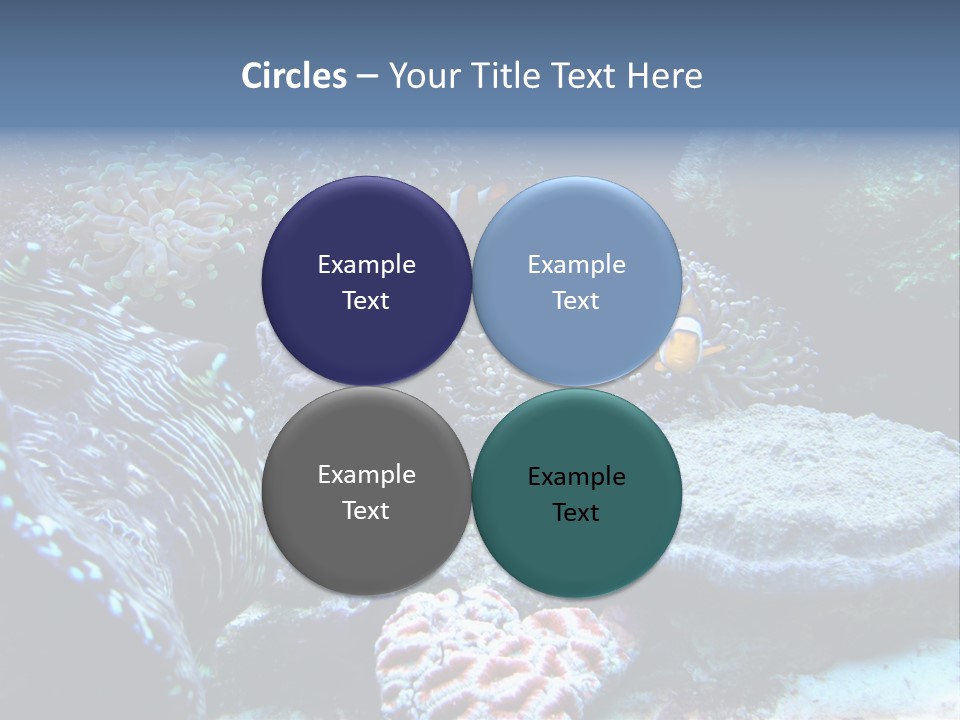 Rock Aquatic Coral PowerPoint Template