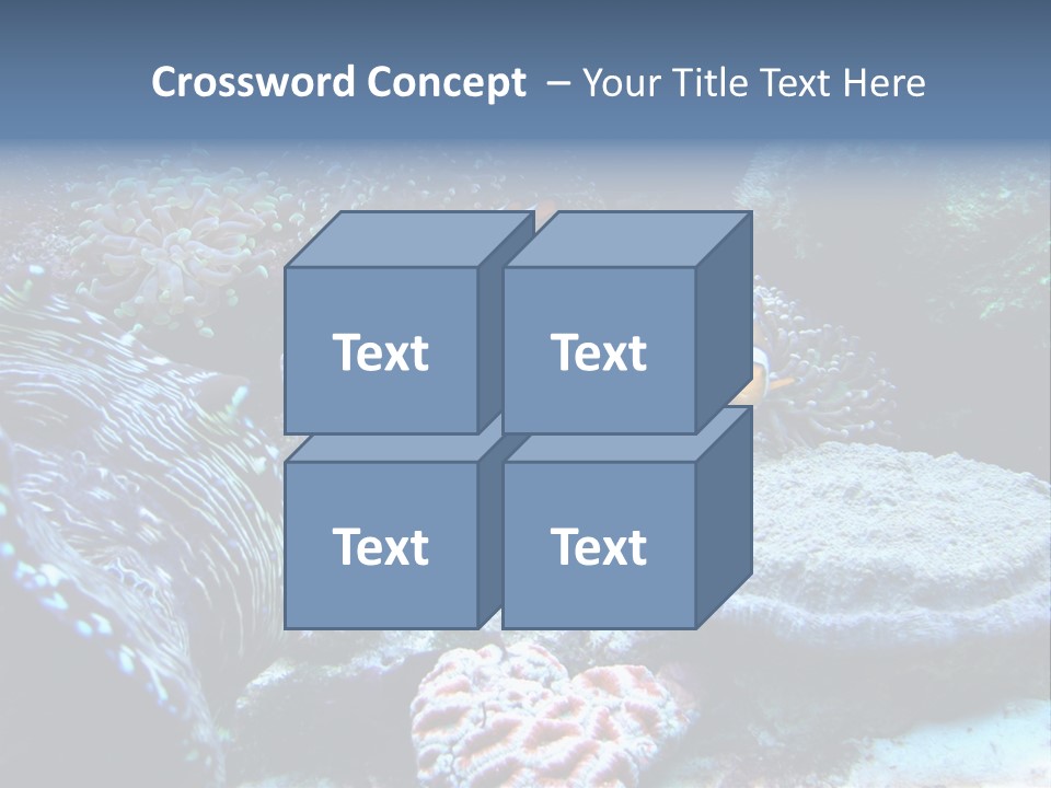 Rock Aquatic Coral PowerPoint Template