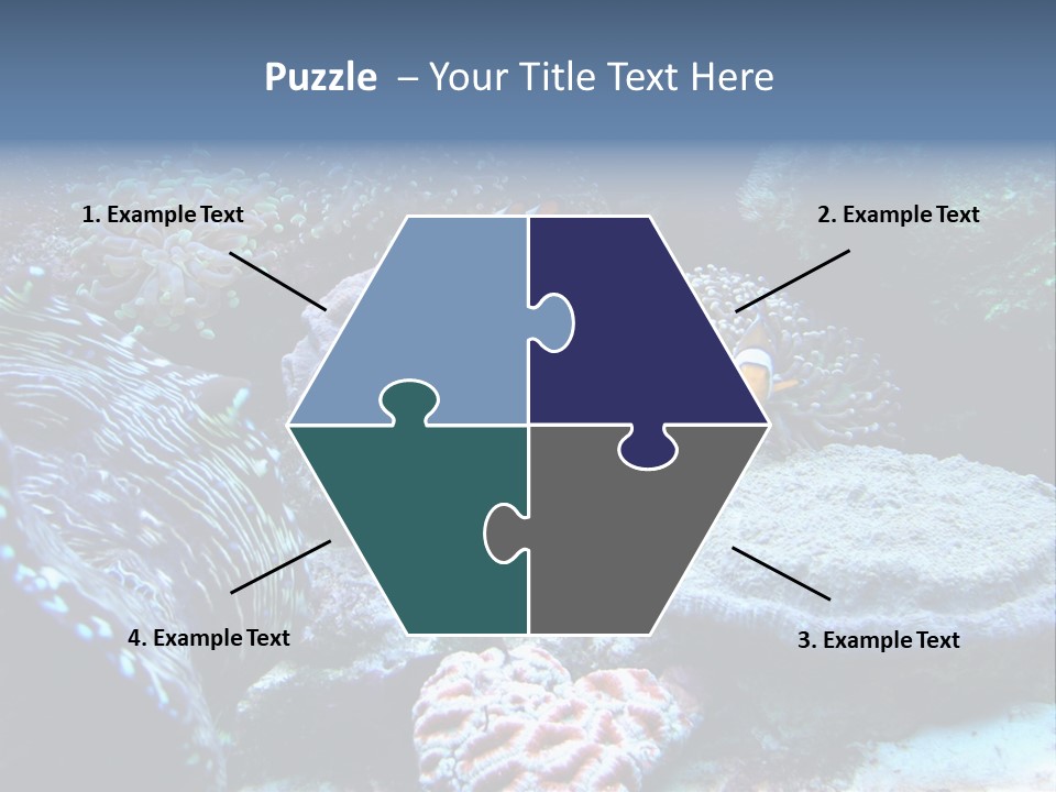 Rock Aquatic Coral PowerPoint Template