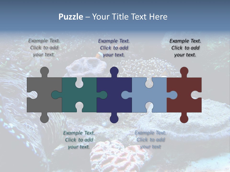 Rock Aquatic Coral PowerPoint Template