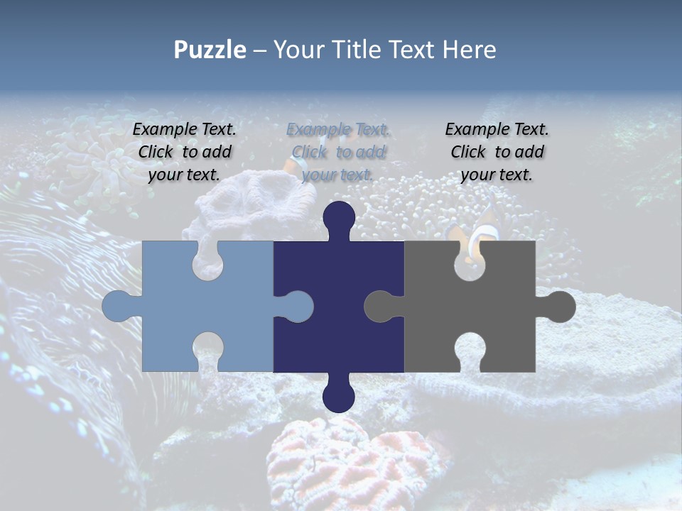 Rock Aquatic Coral PowerPoint Template