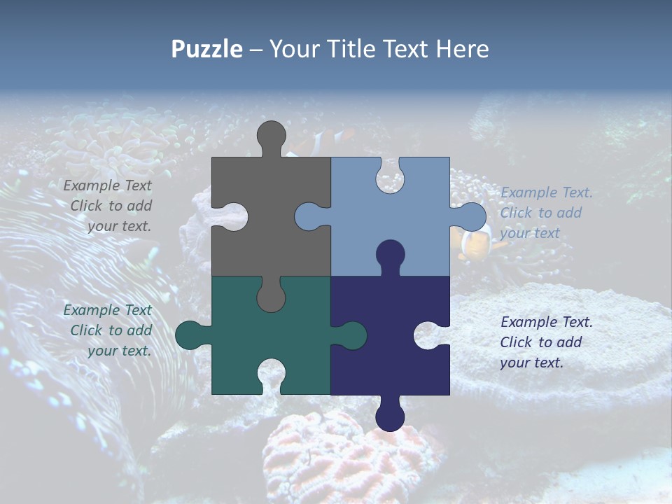 Rock Aquatic Coral PowerPoint Template