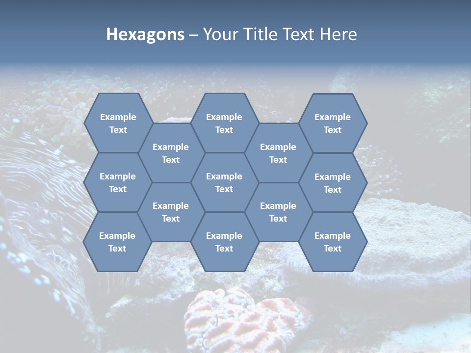 Rock Aquatic Coral PowerPoint Template