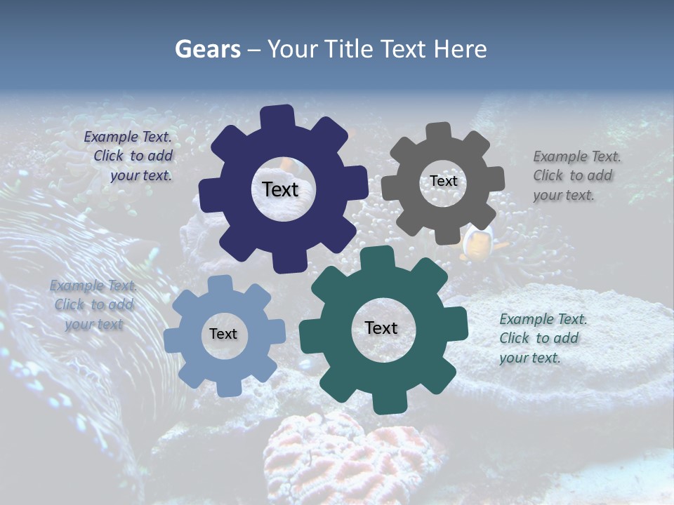 Rock Aquatic Coral PowerPoint Template