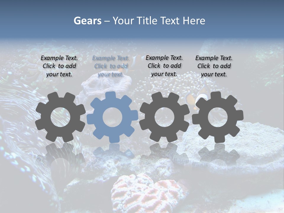 Rock Aquatic Coral PowerPoint Template