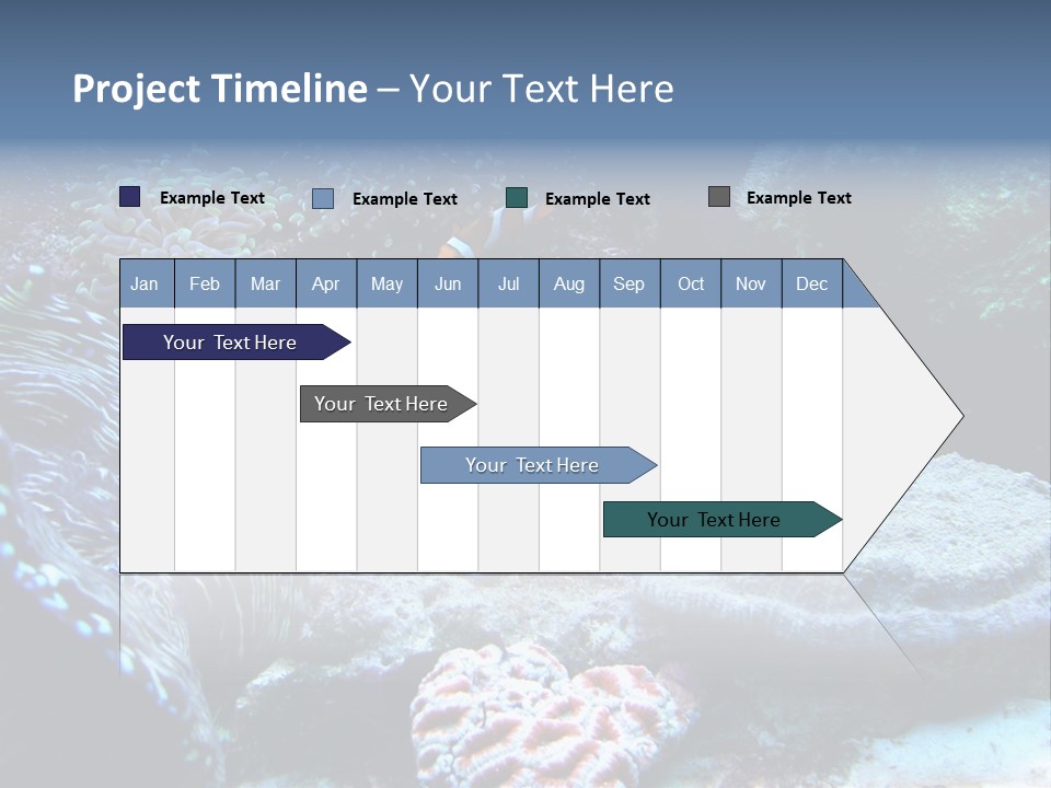 Rock Aquatic Coral PowerPoint Template