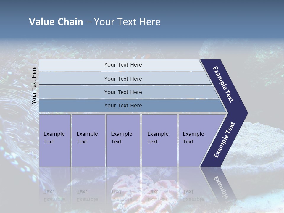 Rock Aquatic Coral PowerPoint Template