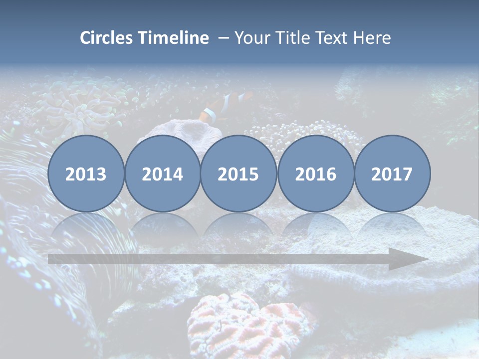 Rock Aquatic Coral PowerPoint Template