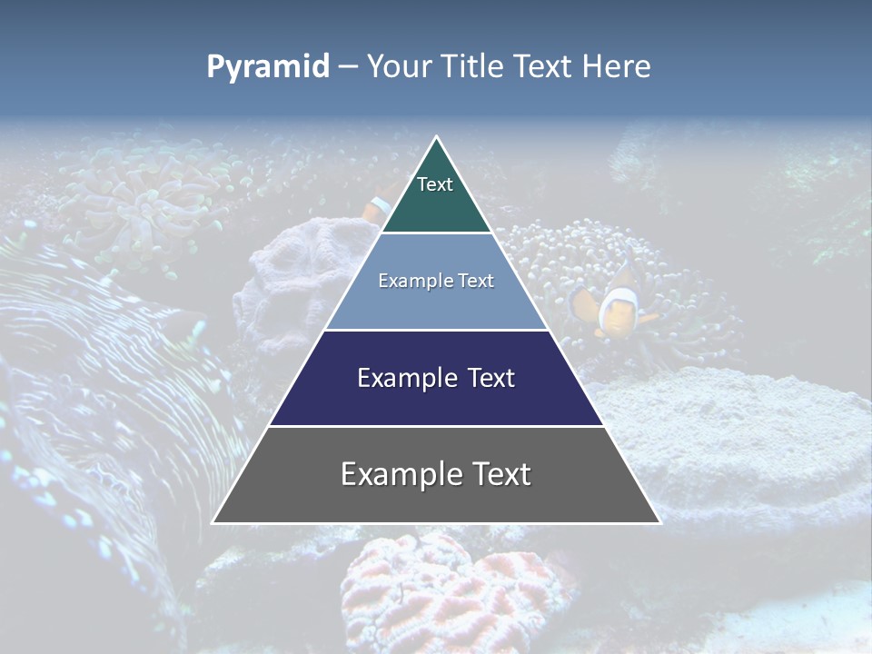 Rock Aquatic Coral PowerPoint Template