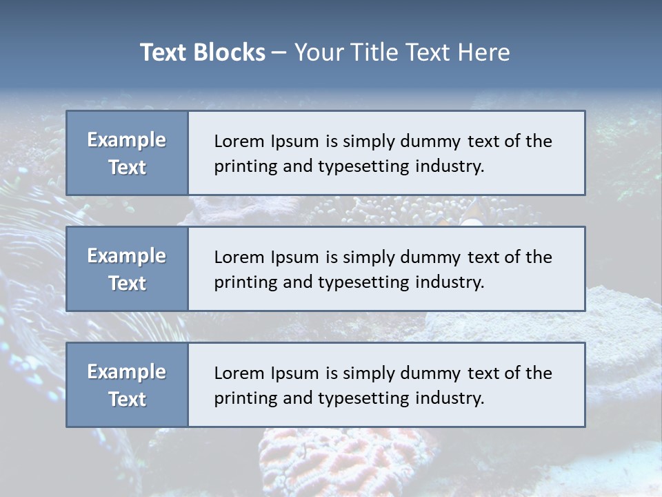 Rock Aquatic Coral PowerPoint Template