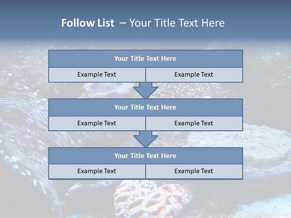 Rock Aquatic Coral PowerPoint Template