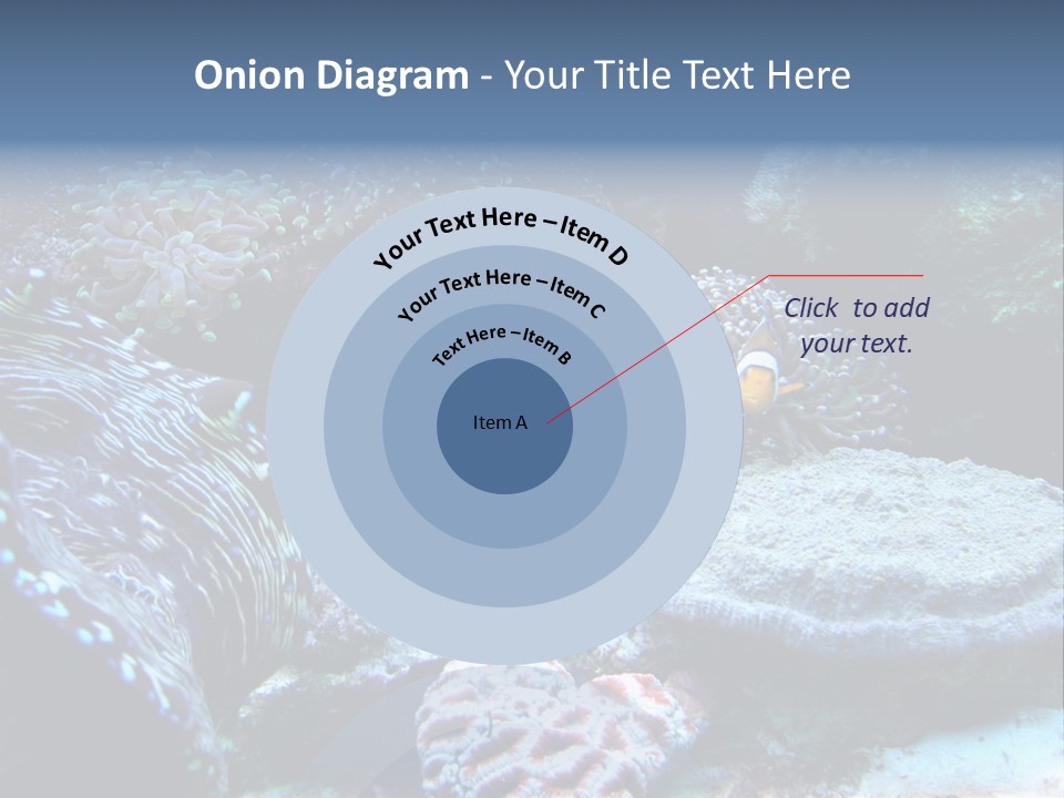 Rock Aquatic Coral PowerPoint Template