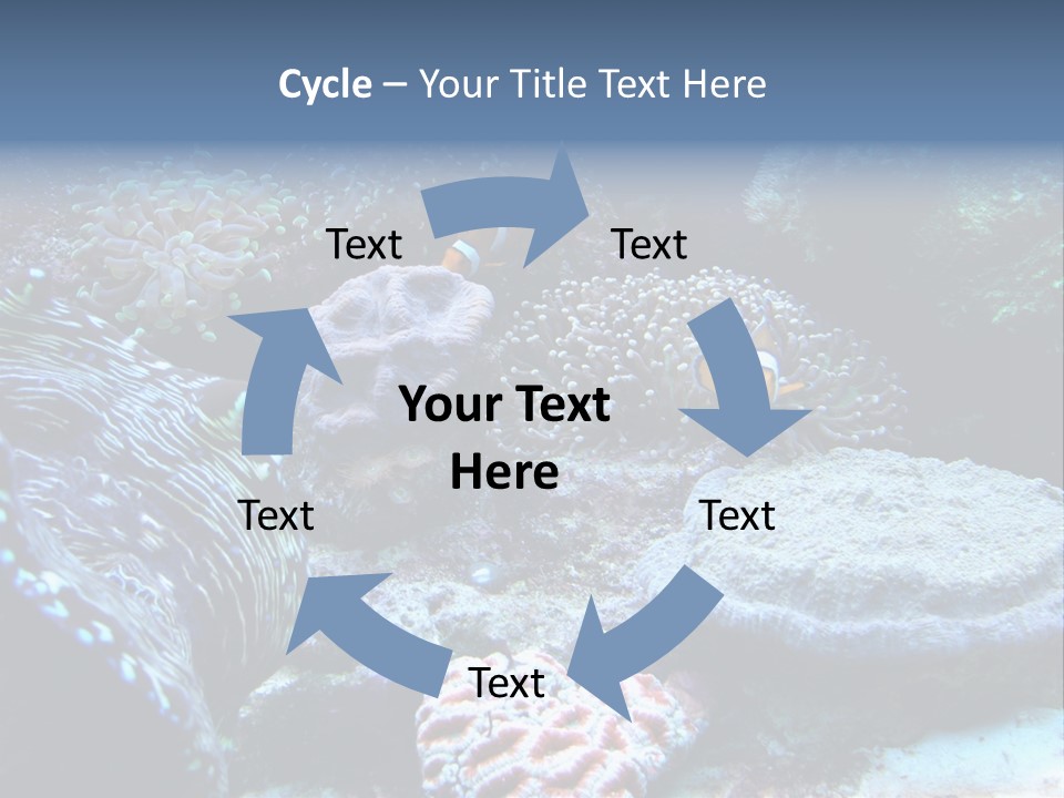 Rock Aquatic Coral PowerPoint Template