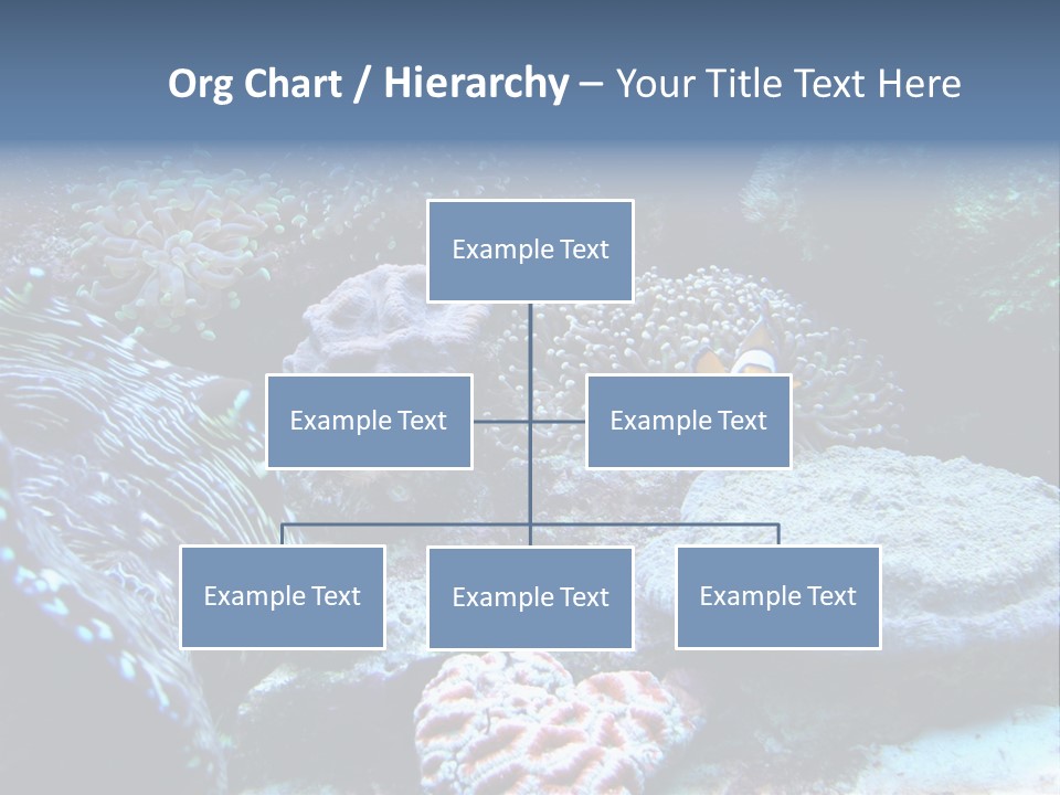 Rock Aquatic Coral PowerPoint Template