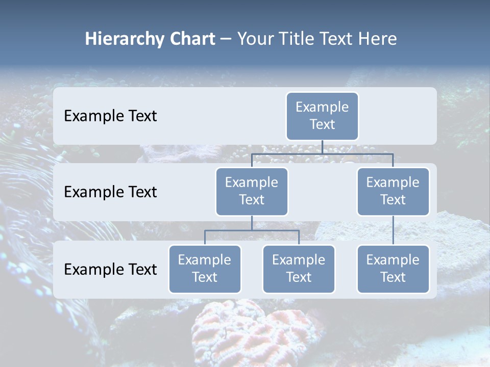Rock Aquatic Coral PowerPoint Template