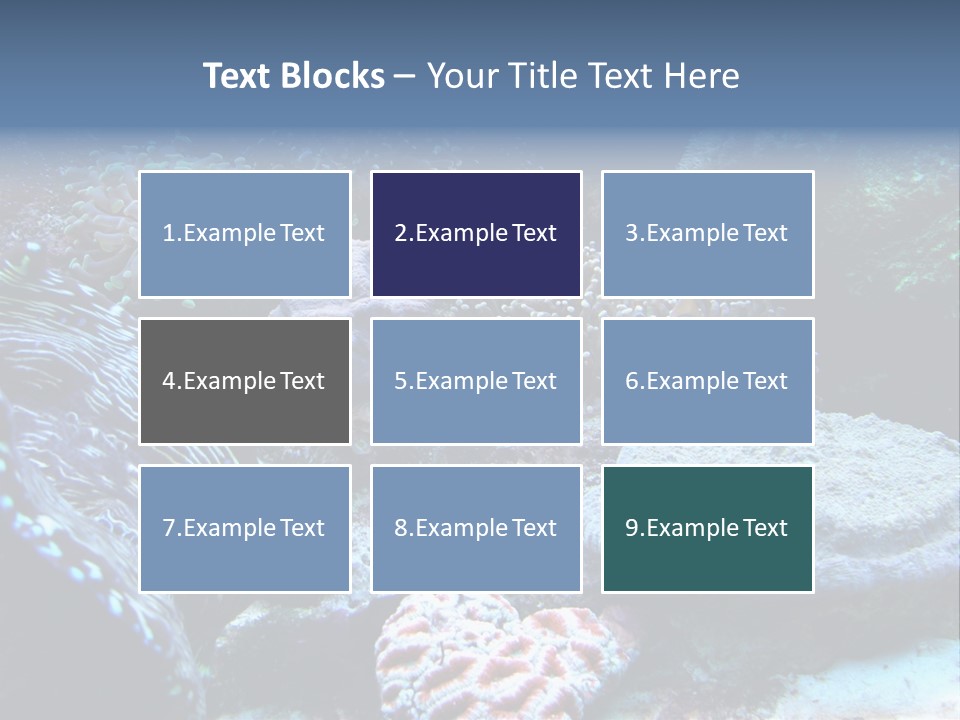 Rock Aquatic Coral PowerPoint Template
