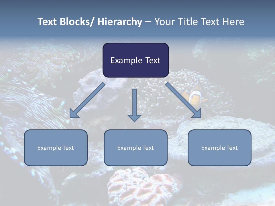 Rock Aquatic Coral PowerPoint Template