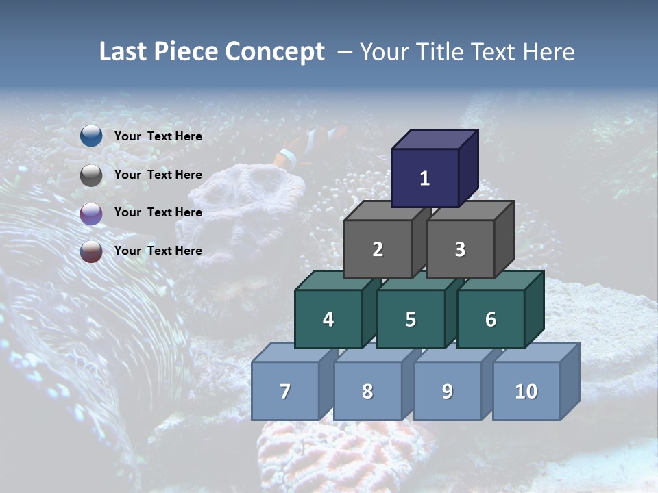 Rock Aquatic Coral PowerPoint Template