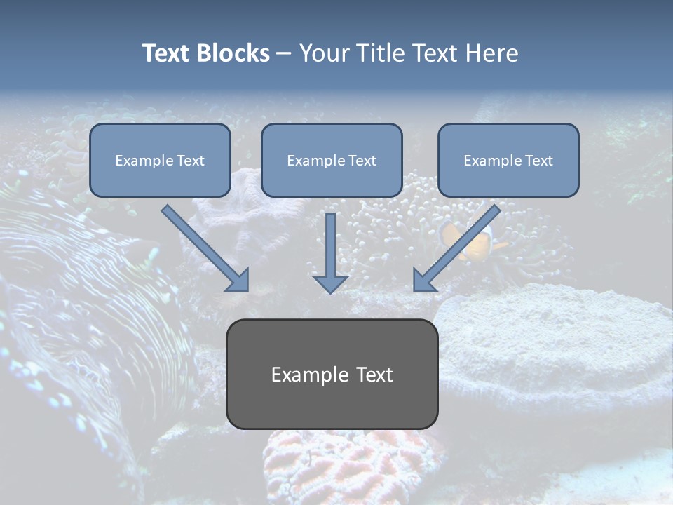 Rock Aquatic Coral PowerPoint Template