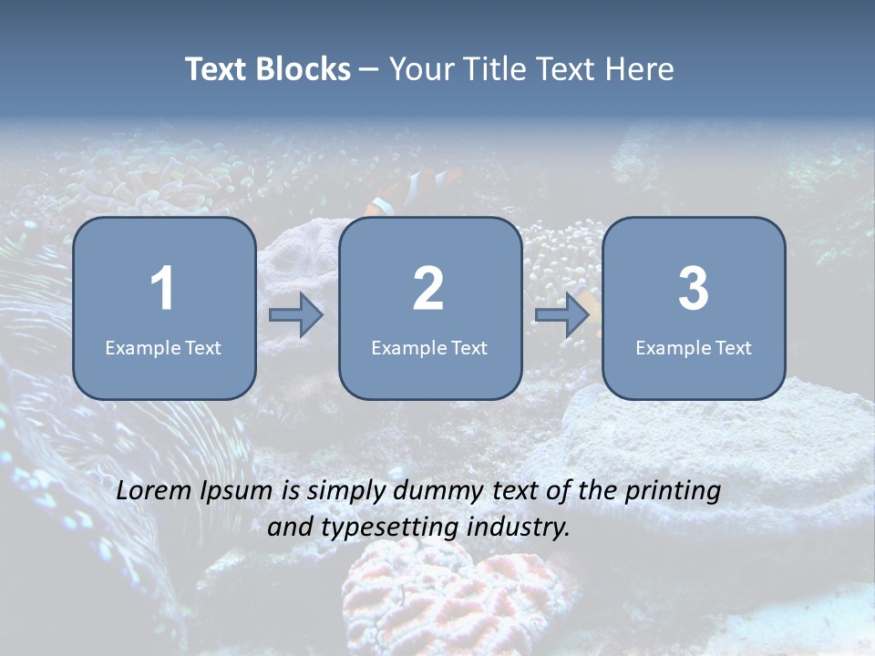 Rock Aquatic Coral PowerPoint Template
