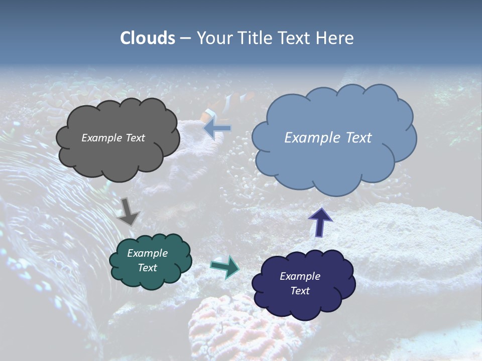 Rock Aquatic Coral PowerPoint Template