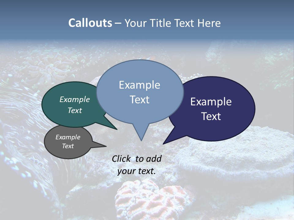 Rock Aquatic Coral PowerPoint Template