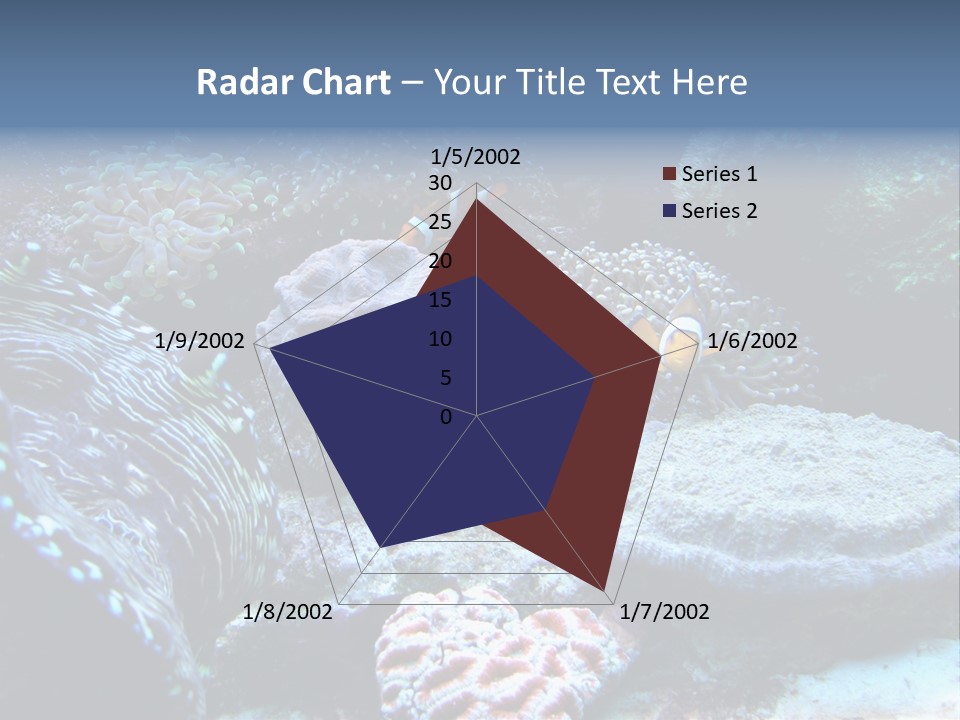Rock Aquatic Coral PowerPoint Template