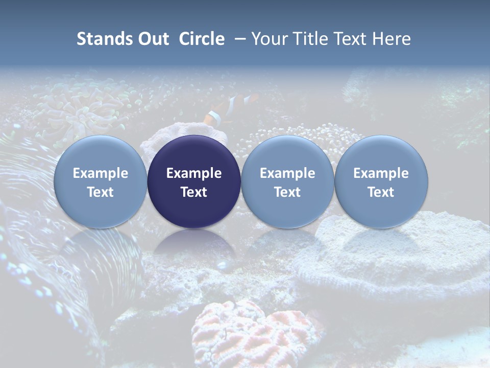 Rock Aquatic Coral PowerPoint Template