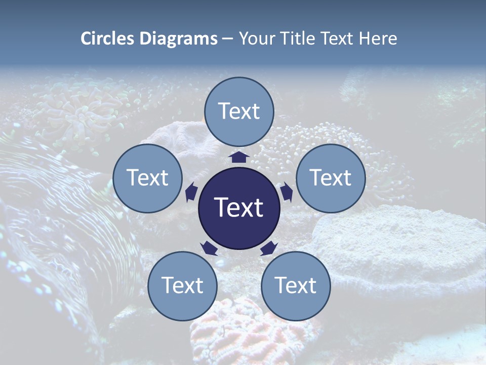 Rock Aquatic Coral PowerPoint Template